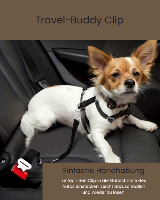 Travel-Buddy Clip